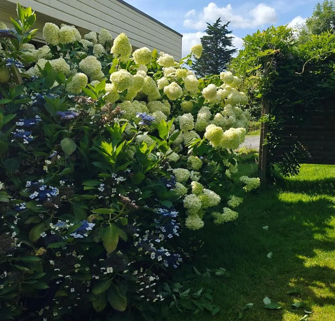 Hébergement de vacances Maison avec SPA en bord de mer Logonna-Daoulas
