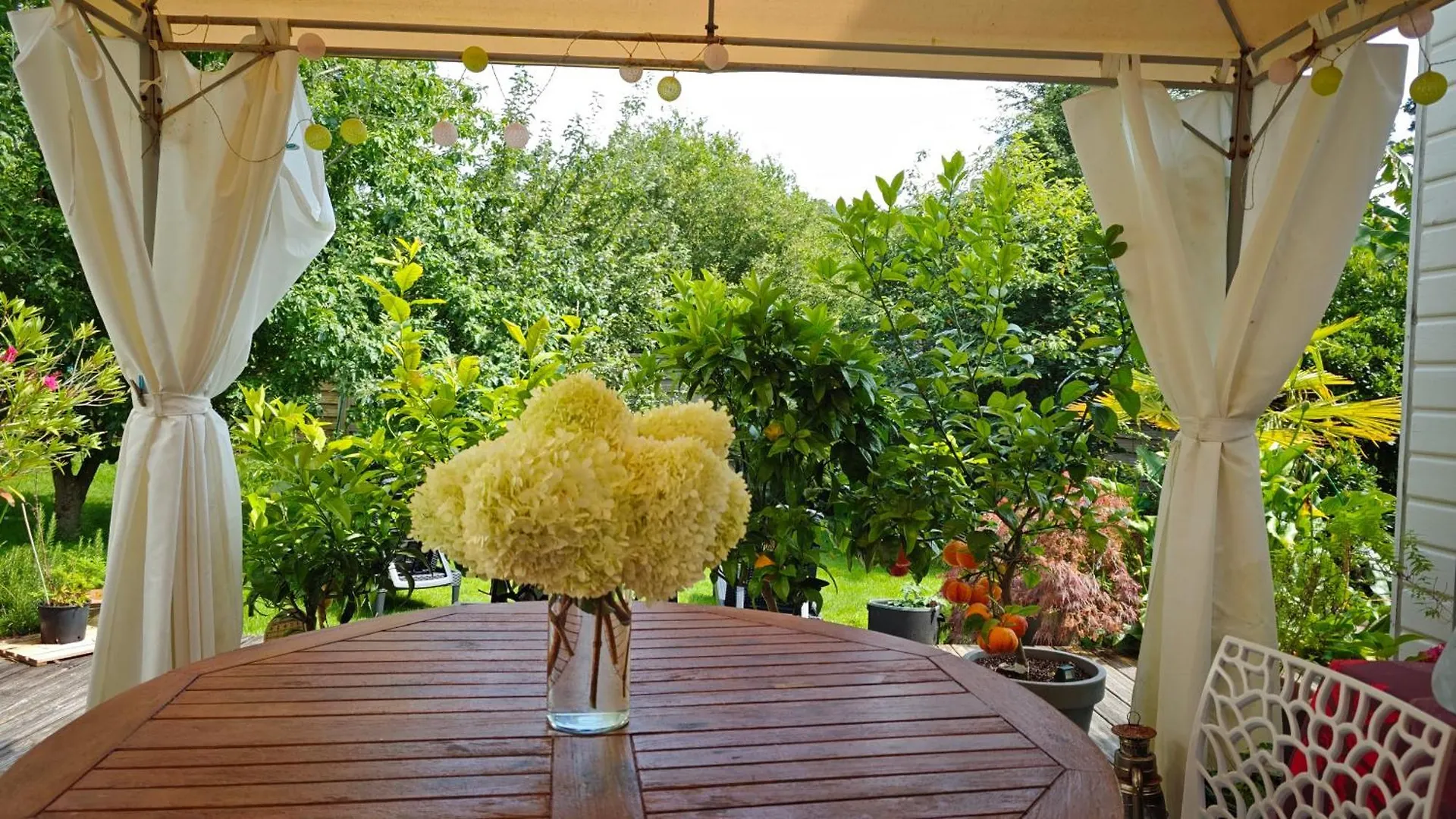 Maison avec SPA en bord de mer Logonna-Daoulas France